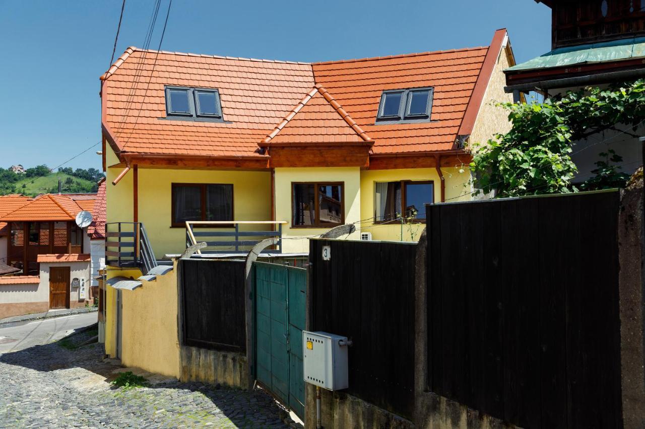 Aki Gray Brasov